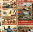 InShot_20260515_100336041 - Рязанские ведомости