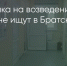 Поделитья во ВКонтакте - Братская Студия Телевидения