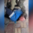 Полицейские Хакасии задержали подозреваемого в совращении несовершеннолетних - Газета Хакасия