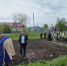 В базовых школьных лесничествах Буинского района были заложены питомники декоративных древесно-кустарниковых растений - Газета Знамя