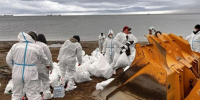 Почти 30 тысяч кубометров загрязненного грунта убрали в Туапсе - Газета Краснодарские известия