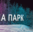 Фото: Фёдор Воронов / «Ямал-Медиа» - Красный Север