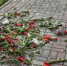 Управление городского хозяйства города Калуги - Kaluga-Poisk.Ru