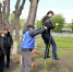 В Октябрьском районе прошел городской фестиваль «Здоровая нация» - Администрация г. Барнаул