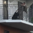 Бастрыкин взял под контроль дело о воронежских подростках, напавших на пенсионера с перцовкой - Bloknot-Voronezh.Ru