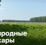 Информационные карточки о природных пожарах. - Ижемский район