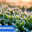 ШТОРМОВОЕ ПРЕДУПРЕЖДЕНИЕ №1. - Новичихинский район