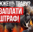 Чтобы избежать возникновения пожаров, необходимо соблюдать правила поведения в лесу - Башмаковский район