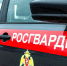 В Зауралье сотрудники Росгвардии приняли участие в раскрытии более 60 преступлений - Росгвардия