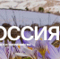 Представители туристской индустрии Курской области примут участие в Международном форуме «Путешествуй!» - Газета Слово народа