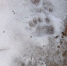 image - GazetaRB.Ru