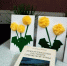 1-n-wiciSsKnd7zbdCTi0LKMYliK8IqGKf1vC0avUHqaKr83yZ83s3PStjDY0EDYpiCpFx_duDgiE_b- - Управление культуры и туризма