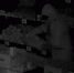 Фруктовый переполох: жителя Хакасии задержали за кражу продуктов - Газета Хакасия