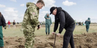 Более 350 жителей Хакасии объединила международная акция «Сад памяти» - ИА Хакасия