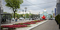 В Курске высадили около 43 тысяч однолетних цветов - Курская правда