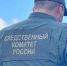 В Николиных Садах задержали подозреваемого в покушении на убийство 7‑летней девочки - Chehov-Vid.Ru