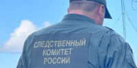В Николиных Садах задержали подозреваемого в покушении на убийство 7‑летней девочки - Chehov-Vid.Ru