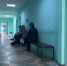 Ситуацию с частотой нападения клещей на кировчан прокомментировало правительство - ProGorod.Ru