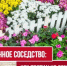Какие цветы не стоит сажать рядом. Советы специалистов Россельхозцентра - Калтасинский район