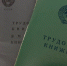 В Мордовии 76 тысяч человек оформили электронную трудовую книжку - Pg13.Ru