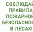 Правила пожарной безопасности в лесах.. - Вилегодский муниципальный округ