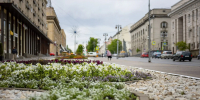 В Курске высадили 43 тысячи однолетних цветов - Городские Известия