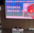На самокате - по правилам! - Красносельский район