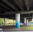 Игорь Ли о проблеме Ленинского проспекта: городу нужен транспортно-пешеходный бульвар - NewKaliningrad.Ru