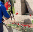 img - ЛДПР