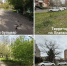 Фото: max.ru/emnaumov - ТК Краснодар