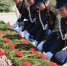 …И мир снова расцвёл! - Кизильский вестник
