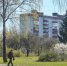 Фото: ПАИ - InformPskov.Ru