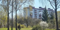Фото: ПАИ - InformPskov.Ru