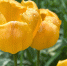 o8zASCyMGo4u8TsVk1dYCrTTPN4rLia1gnLw2C9fLuM4N_FVifUgrMu8v_2XDQV4T14GQFzIMfRHT-rgcpqRbIVN - Рязанские ведомости