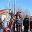 Памятник Анюйской ярмарки - Центр досуга и народного творчества