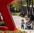 Города Белгородской области поборются за звание семейной столицы страны - БелПресса
