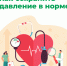 С 11 по 17 мая в Новосибирской области объявлена неделя борьбы с артериальной гипертонией и приверженности назначенной врачом терапии - Город Искитим