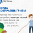 Если встретил змею - Кабардино-Балкарская правда