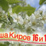 Мероприятия в Кирове 16 и 17 мая: афиша - ГТРК Вятка