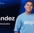 BingX назначает чемпиона мира Энцо Фернандеса глобальным амбассадором в преддверии Чемпионата мира FIFA 2026 - ТолькоЧто.Ru