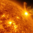 Фото: Mr.alien001/Shutterstock/Fotodom - Ямал-Медиа