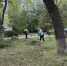Сегодня в Луганске прошло два мероприятия по благоустройству - Город Луганск