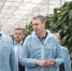 ГУБЕРНАТОР СТАВРОПОЛЬЯ ОЗНАКОМИЛСЯ С РАБОТОЙ ТЕПЛИЧНОГО КОМПЛЕКСА В ПРЕДГОРНОМ ОКРУГЕ - Губернатор