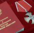 Семьям погибших бойцов из Камышина Волгоградской области передали госнаграды - Волга-Медиа