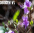 Сегодня во Владивостоке до +19 °C - NewsVl.Ru