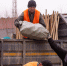 Больше 700 тонн мусора собрали благовещенцы во время акции «Города берегу» - ИА Порт Амур