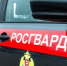 Курганские росгвардейцы приняли участие в раскрытии более 60 преступлений - Новый мир
