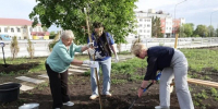В Самаре высадили Аллею городов Поволжья - SamaraGIS.Ru
