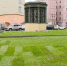 В Петербурге стихийная стоянка перекрылась рулонным газоном - Neva.Today