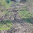 img - ЛДПР
